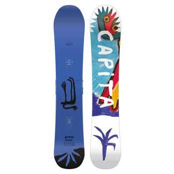SNOWBOARD