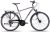 Revelo 1.0 men 2024