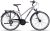 Revelo 1.0 JOY 2024